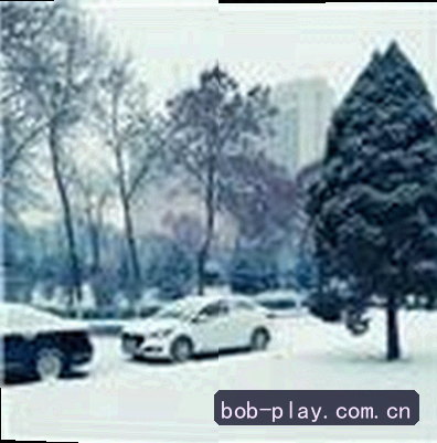 老王